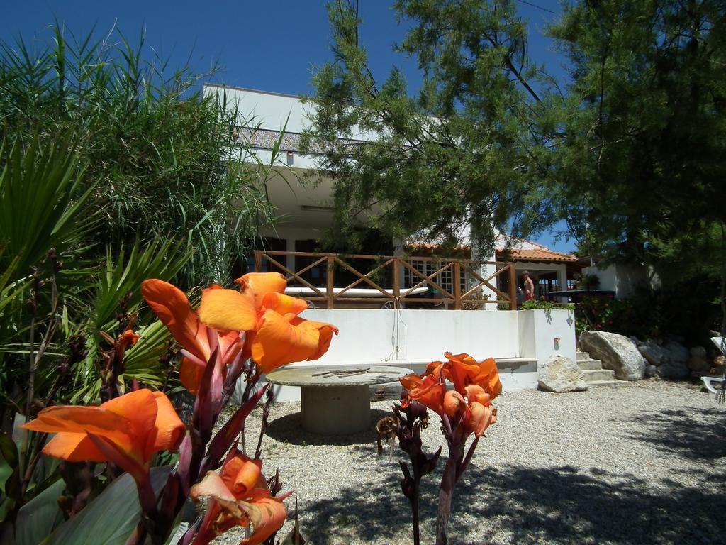 Da Silva Surfcamp Hostel Areia Branca Luaran gambar